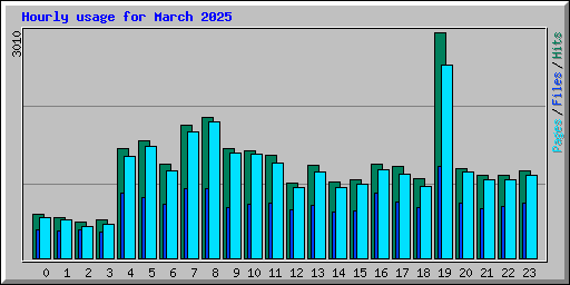 Hourly usage for March 2025