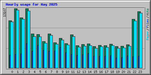Hourly usage for May 2025