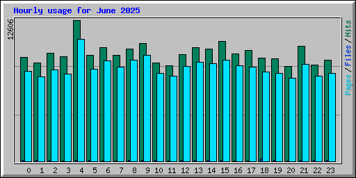 Hourly usage for June 2025
